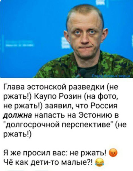 Глава эстонской разведки не ржать Каупо Розин на фото не ржать заявил что Россия должна напасть на Эстонию в долгосрочной перспективе не ржать Я же просил вас не ржать Чё как дети то малые О