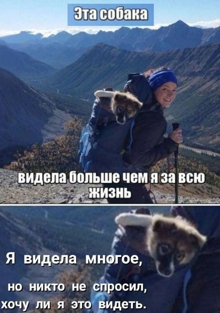 Я видела мнфгое _г но никтбне с осин хочу пися это _идеть
