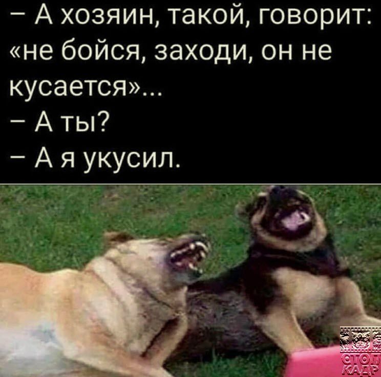 А хозяин такой говорит не бойся заходи он не кусается А ты А я укусил