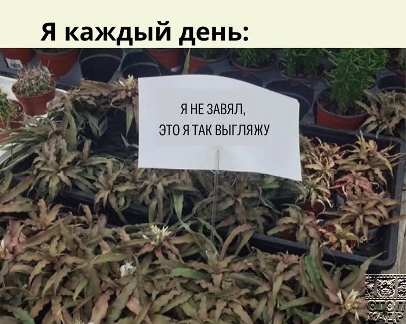 У Я НЕ ИЕЯП ЭТО Я ТАК ВЫГПЯЖУ