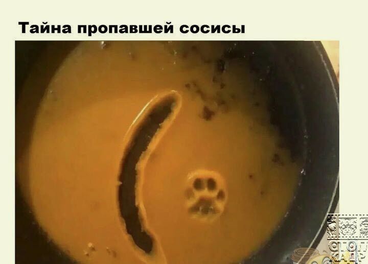 Тайка дропа шей сосисы