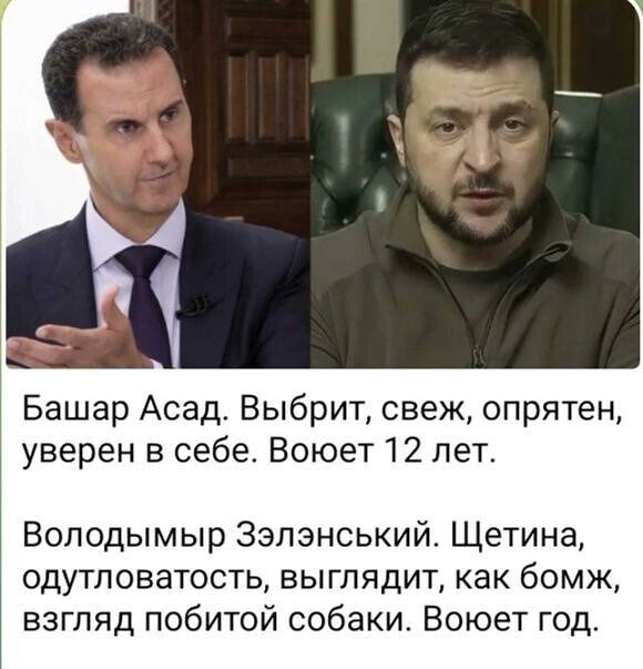 Башар Асад Выбрит свеж опрятен уверен в себе Воюет 12 лет Володымыр Зэпэнський Щетина одутповатость выглядит как бомж взгляд побитой собаки Воюет год