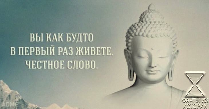 ВЫ КАК БУДТП В ПЕРВЫЙ РА Е И чшщт