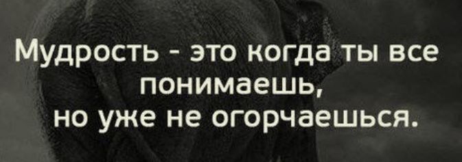 Мудрость это когда ты все понимаешь но уже не огорчаешься