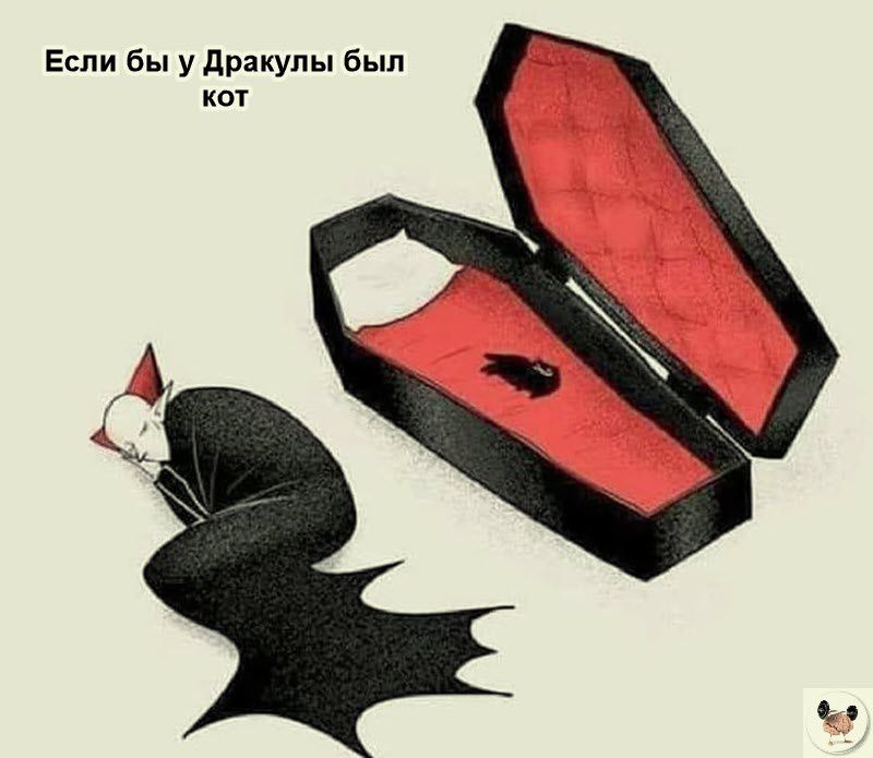 Если бы у дракулы был кот С