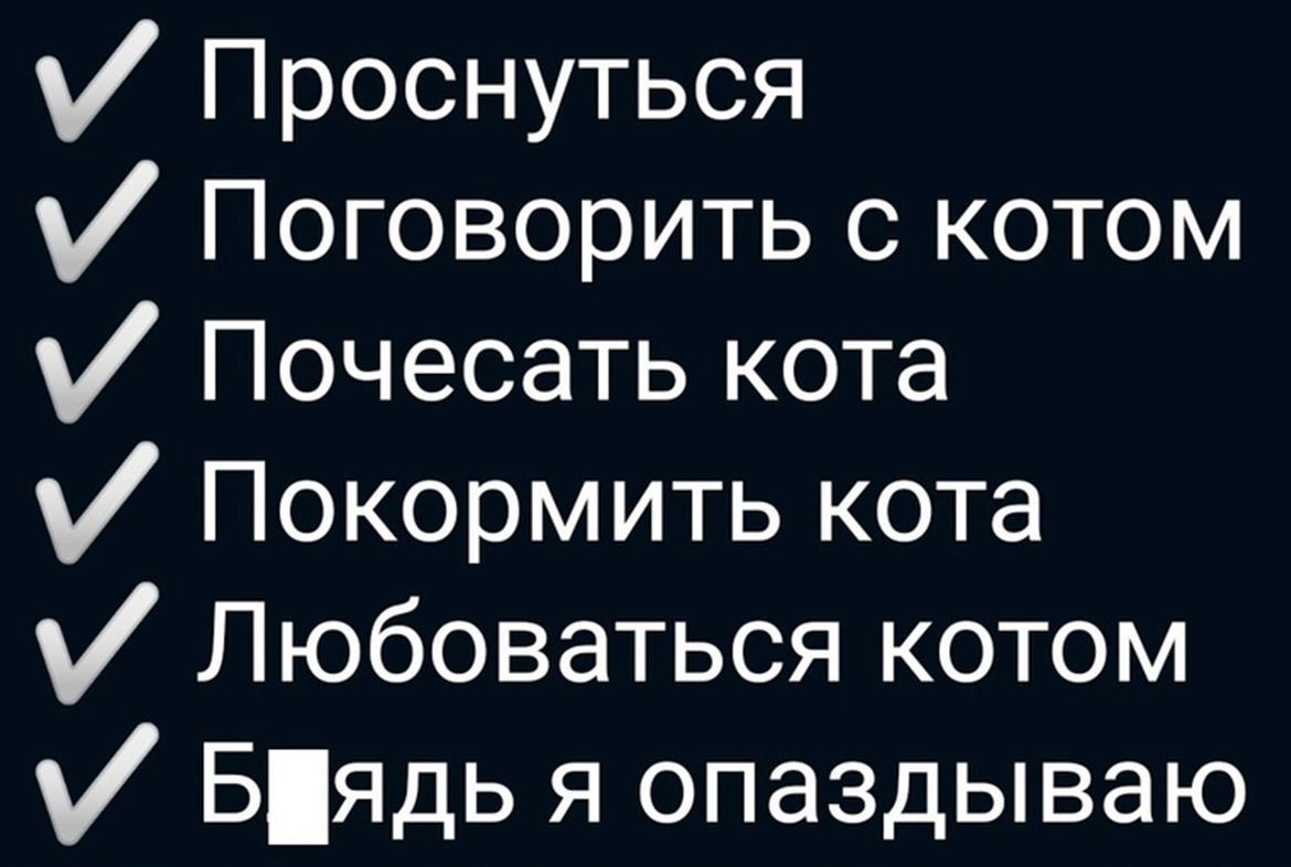 Проснуться Поговорить с котом Почесать кота Покормить кота Любоваться котом Бядь я опаздываю