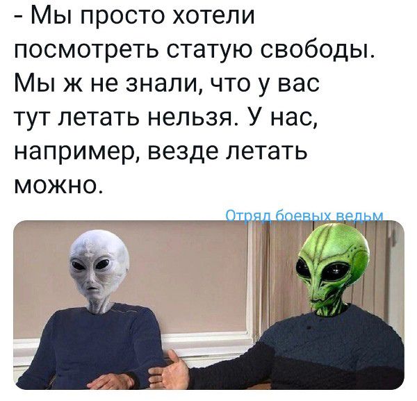 Мы просто хотели посмотреть статую свободы Мы ж не знали что у вас тут летать нельзя У нас например везде летать можно