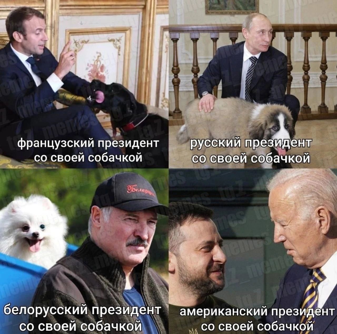 Французский президент со своей ссбачкой __ і порусский презъ нт американский през со своей собачкцЁ со своей собачка