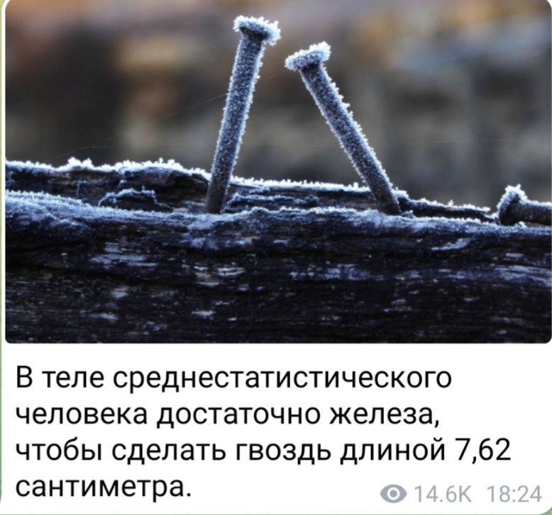 В теле среднестатистического человека достаточно железа чтобы сделать гвоздь длиной 762 сантиметра