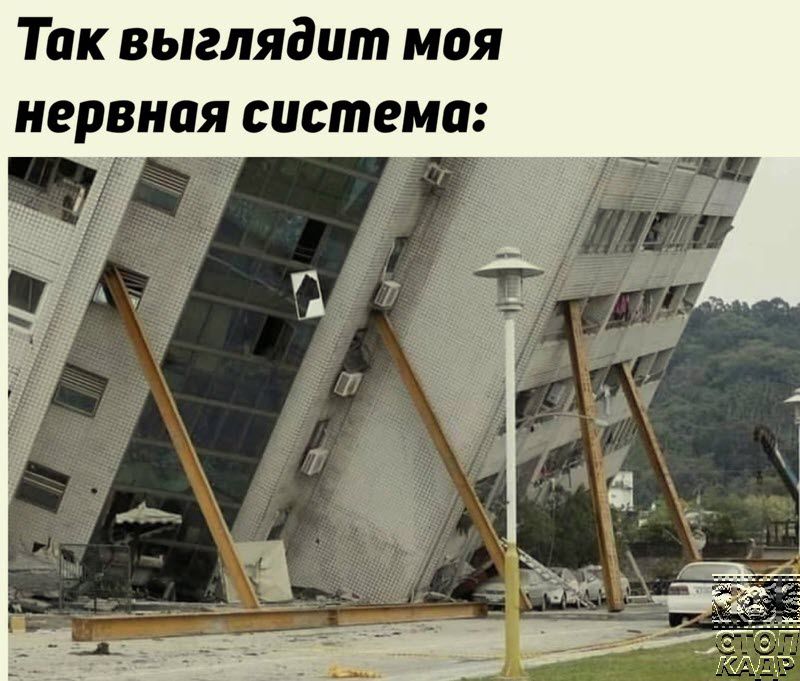 Так выглядит моя нервная система