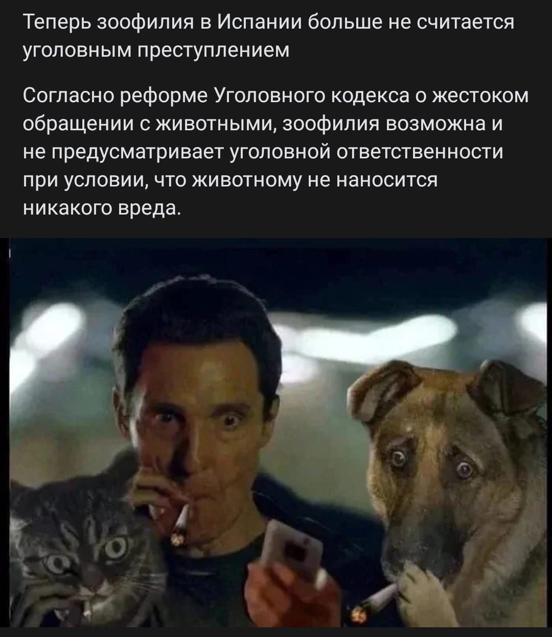 Теперь зоофилия в Испании больше не считается уголовным пресгуппением Согласно реформе Уголовного кодекса о жестоком ооращеиии с животными зоофилия возможна и не предусматривает уголовной ответственности при условии что животииму не наносится НИКЭКОЮ вреда