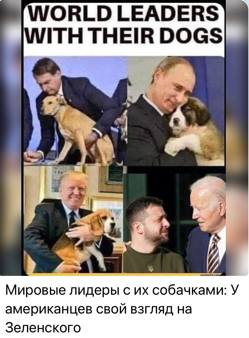 шонш ЬЕАВЕНЗ тн тнып повз Мировые лидеры с их собачками У американцев свой взгляд на Зеленского
