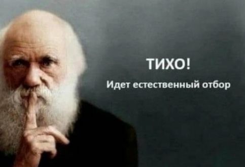 ТИХО Иди етспепиый отбор