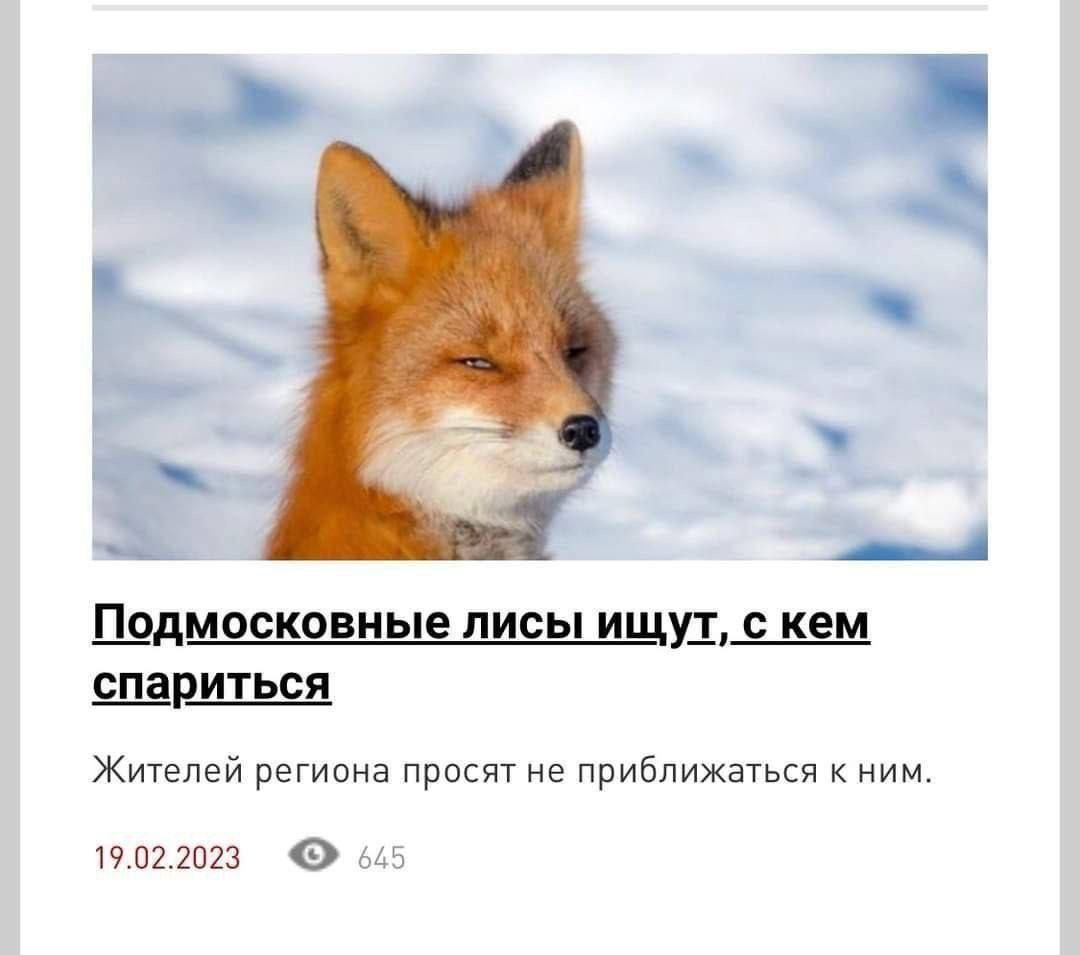 ь _А ЩАШЕЕНЩШЕЩЩПЩМ Жителей региона при не приближени ним чпппгз Ф