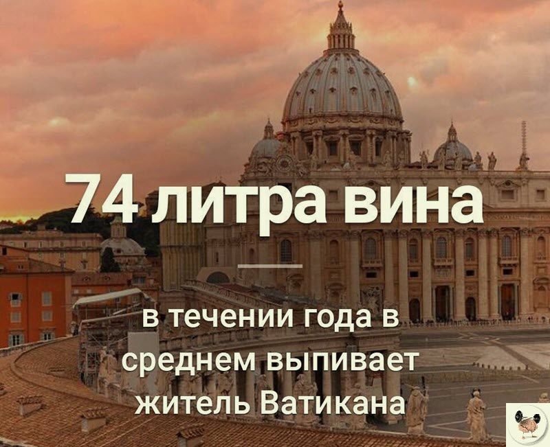 Иіра вина в течении года в среднем выпивает ж житель Ватикана _