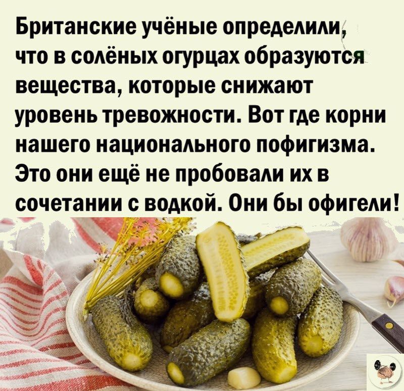 Британские учёные определили что в солёных огурцах образуются вещества которые снижают уровень тревожности Вот где корни нашего национального пофигизма Это они ещё не пробовали их в сочетании с водкой Они бы офигели