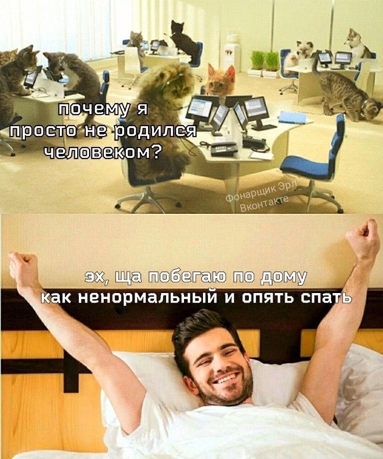 _ _ П ненормальным и опять спа