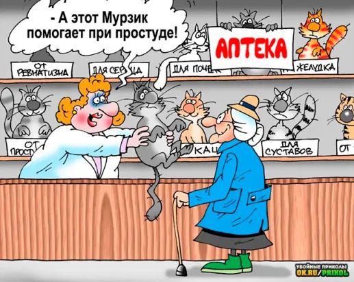 1 А этот Мурзик помогает при простуде
