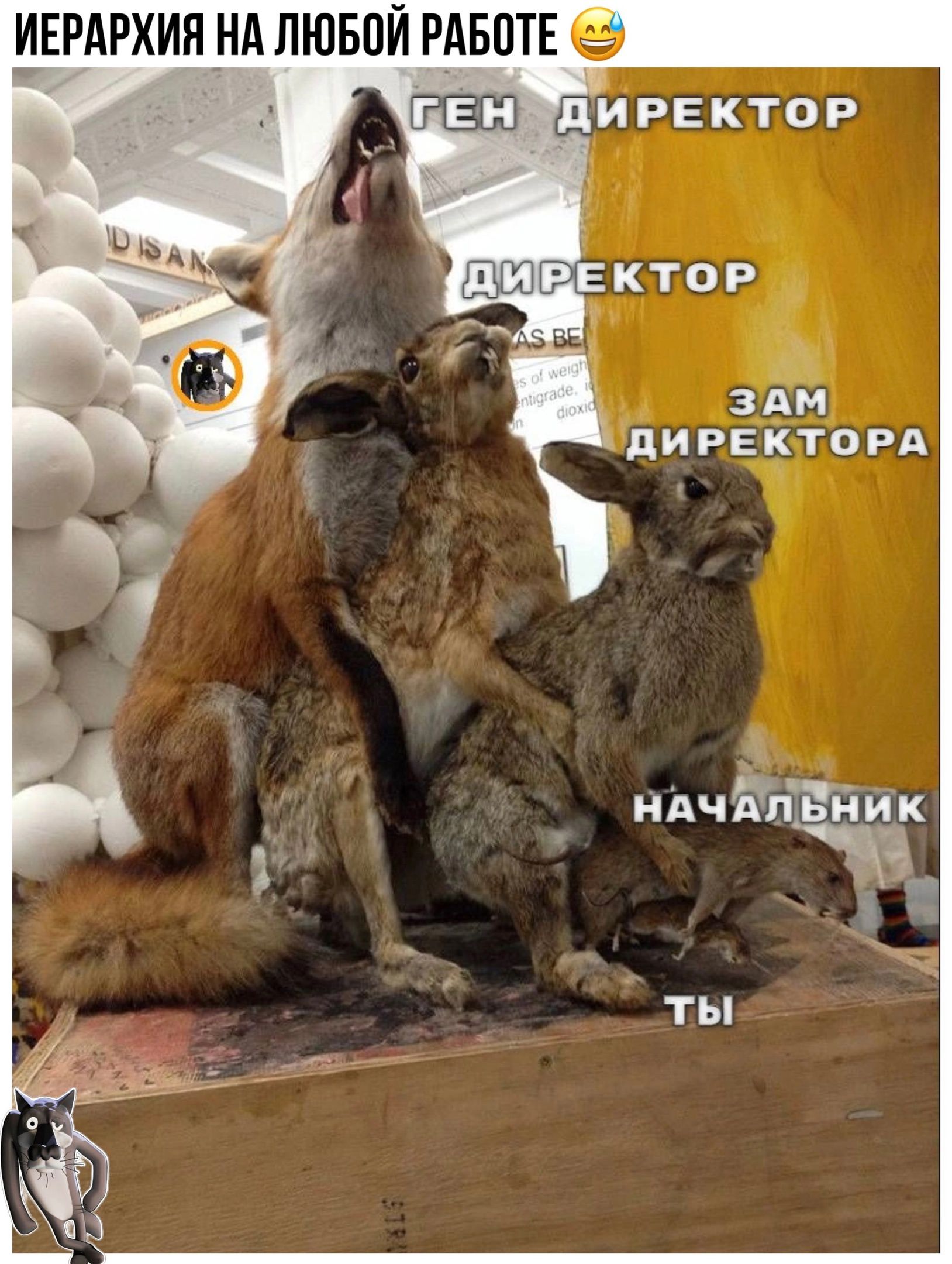 ИЕРАРХИП НА ЛЮБПЙ РАБОТЕ В иректор КТОР ЗАМ ПИРЕКТОРА ТЫ