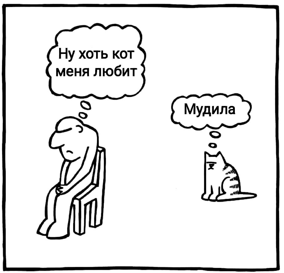 Ну хоть кот меня любит