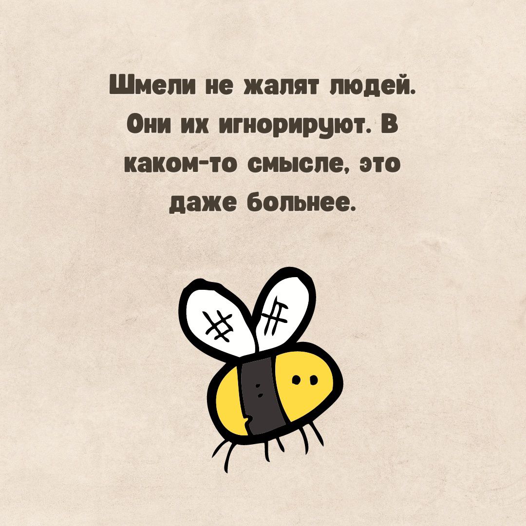 Шиепи не жили людей Они их игнорируют В каком то смысле это даже Бопьиее