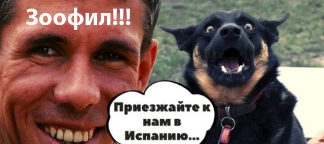 оофилЩ