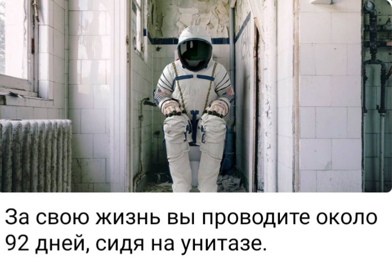 И За свою жизнь вы проводите около 92 дней сидя на унитазе