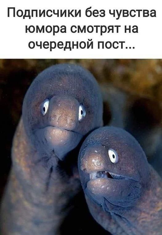 Подписчики без чувства юмора смотрят на очередной пост