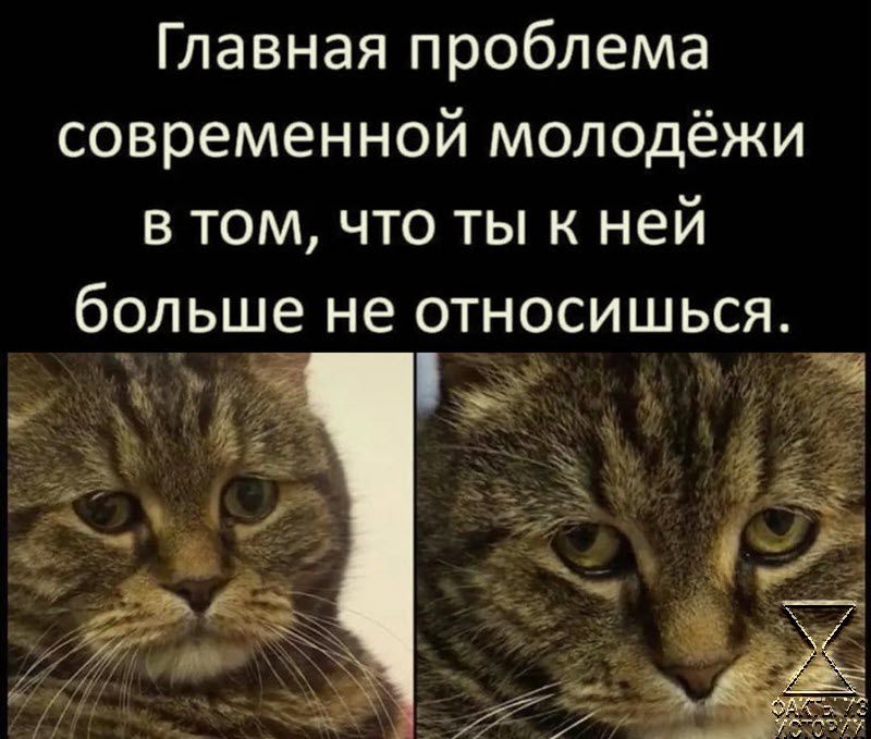 Главная проблема современной молодёжи в том что ты к ней больше не относишься