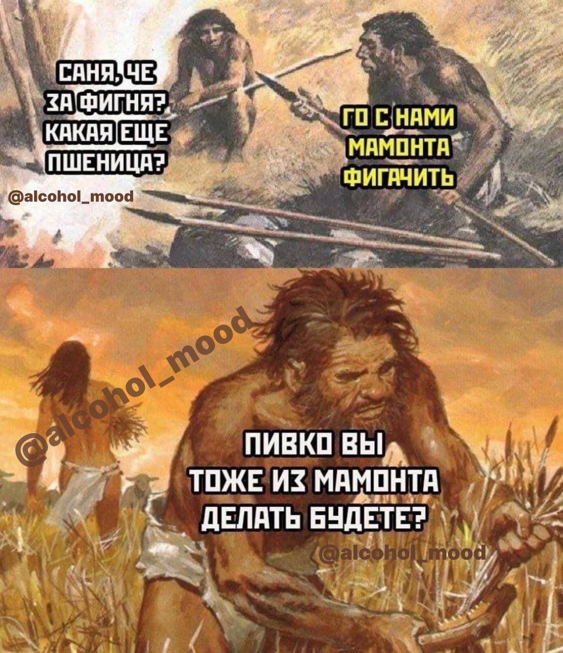 ПИВКО ВЫ 2О Ч ТОЖЕ ИХ МАМОНТА