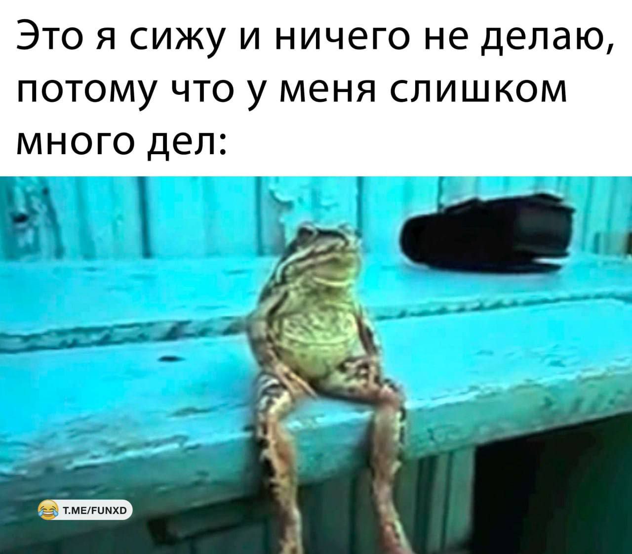 ЭТО Я СИЖУ И НИЧЕГО не Делаю ПОТОМУ ЧТО у меня СЛИШКОМ МНОГО дел