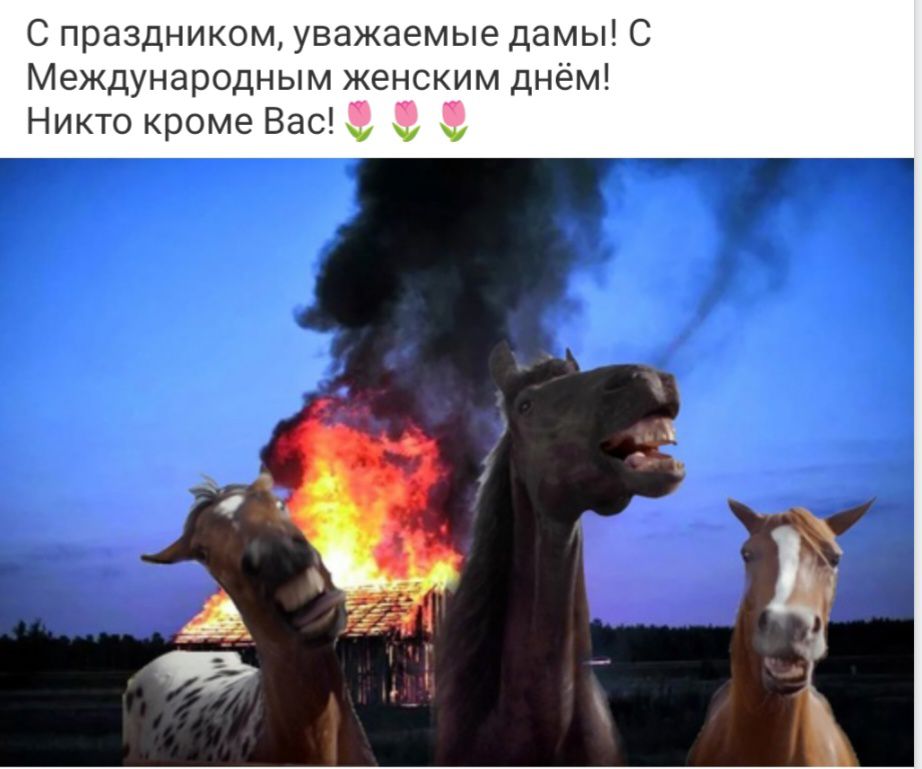 С праздником уважаемые дамы С Международным женским днем Никто кроме Вас _