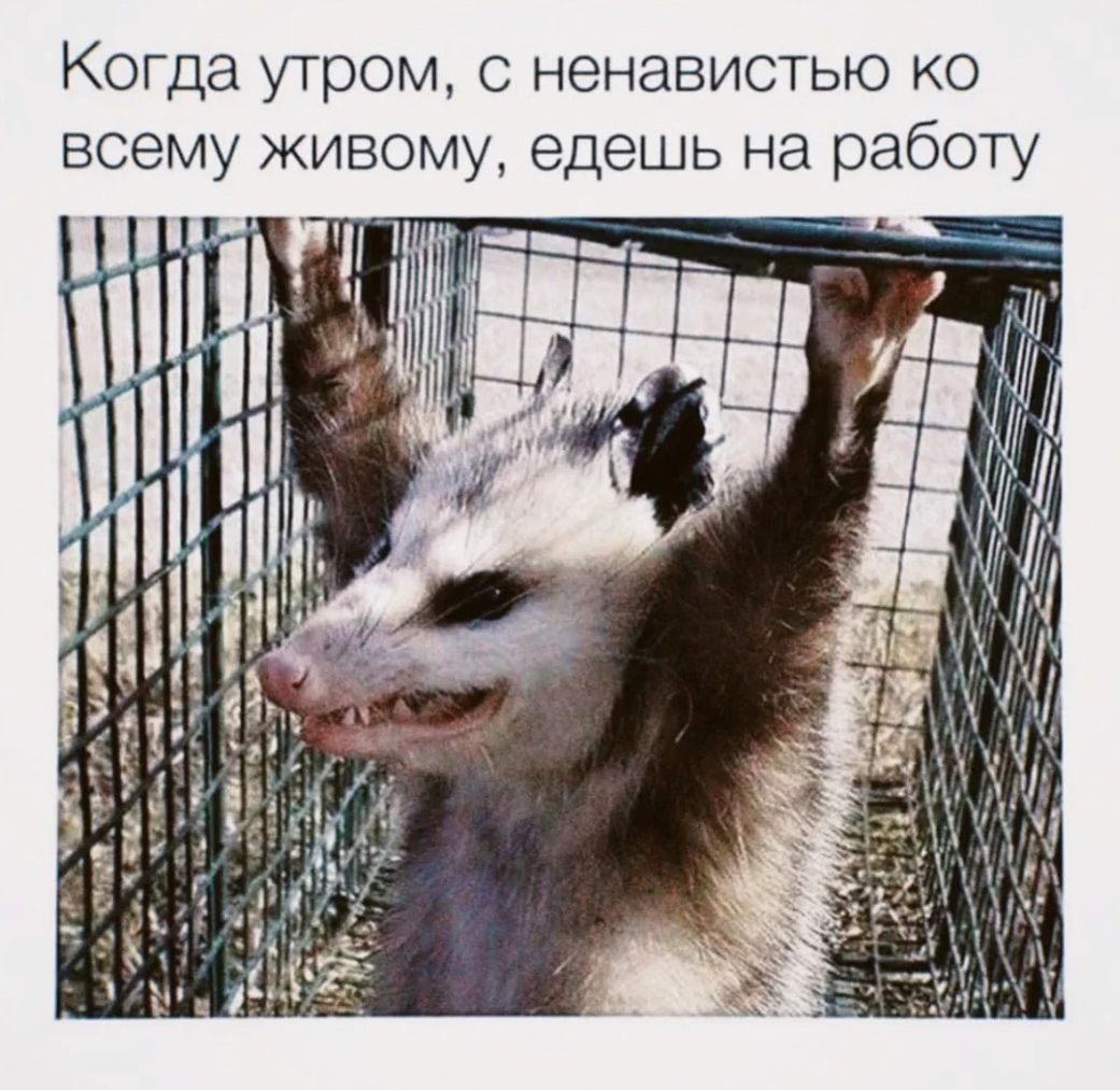 Когда утром с ненавистью ко