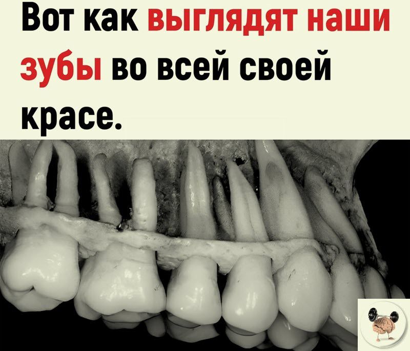 Вот как во всей своей