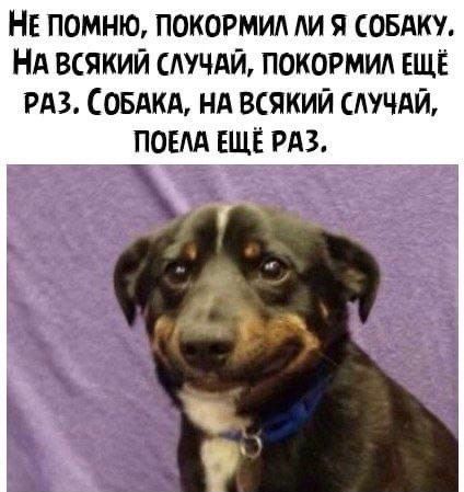 НЕ ПОМНЮ ПОКОРМИА ЛИ Я СОБАКУ НА ВСЯКИЙ СЛУЧАЙ ПОКОРМИА ЕЩЁ РАЗ СОБАКА НА ВСЯКИЙ АЧАЙ ПОЕАА ЕЩЁ РАЗ
