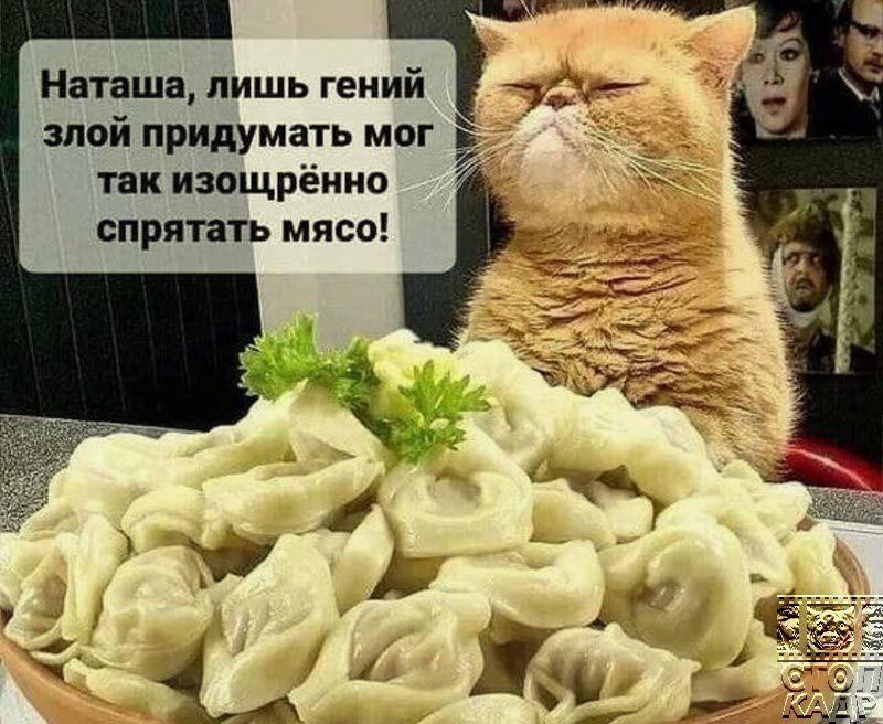 Наташи пишь гений злой придумать мог так изощрённо спрятать мясо