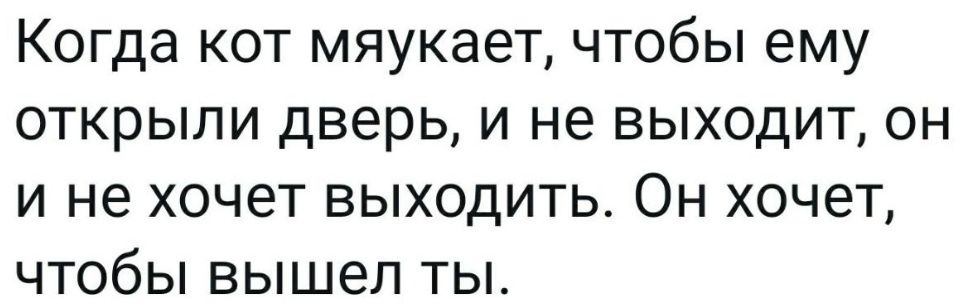 Когда кот мяукает чтобы ему открыли дверь и не выходит он и не хочет выходить Он хочет чтобы вышел ты
