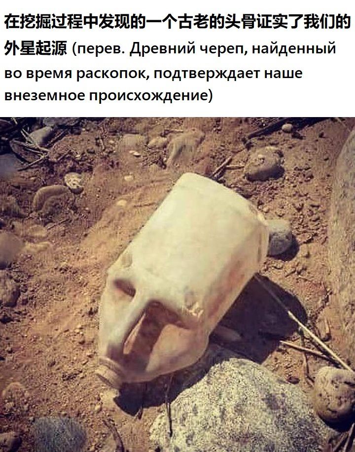 ЕЁЁЫЁФЫФЁЁЁЁТЁШЫ ЁЁЗ перец древний череп найденный во время раскопок подтверждает наше внеземное происхождение