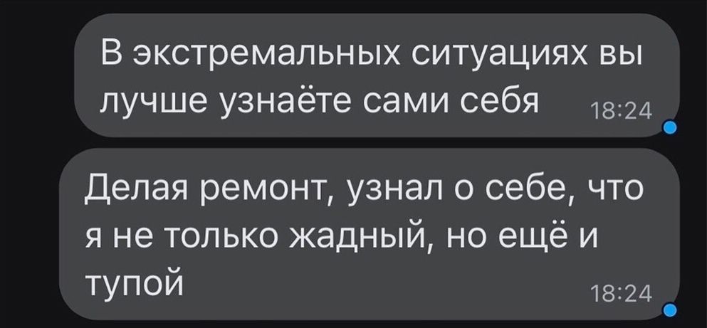 В экстремальных ситуациях вы пучше узнаёте сами себя и Делая ремонт узнал о себе что я не только жадный но ещё и ТУП 13 21