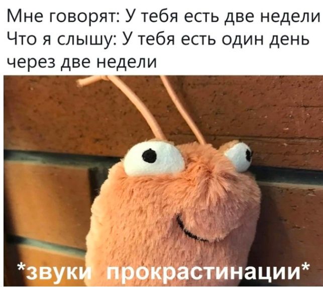 Мне говорят У тебя есть две недели Что я слышу У тебя есть один день через две недели звуі прокрастинации