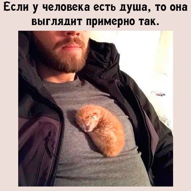 ЕСЛИ У человека ЕСТЬ душа ТО она ВЫГЛЯЦНТ примерно так