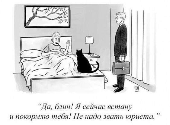 Ди йпш Я усічис напишу и пикихина тебя Ни и жить три