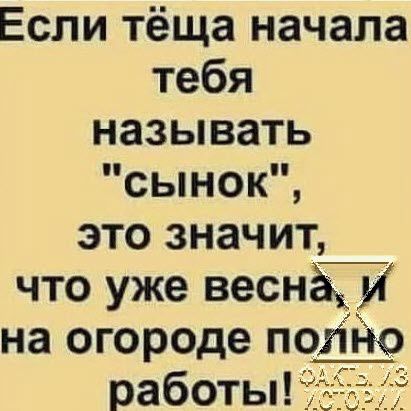 Если тёща начала тебя называть сынок это значит что уже весны и на огороде полНо Т_г работы