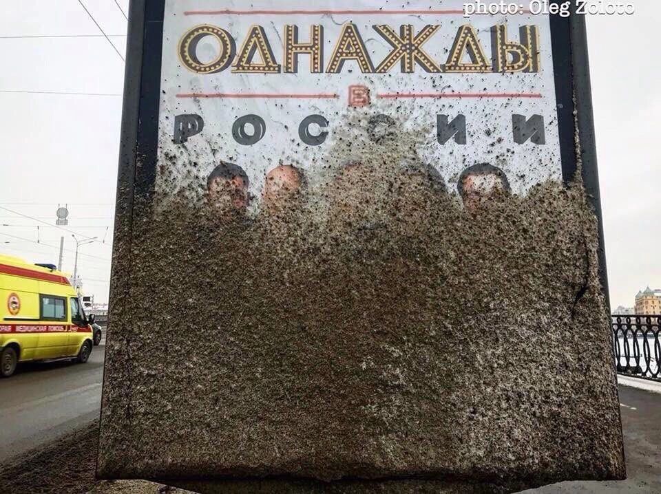 ФАЫАЖАЫ