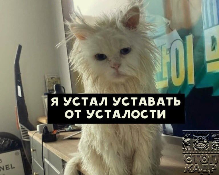 Я УСТАЛ УСТАВАТЪ ОТ УСТАЛОСТИ