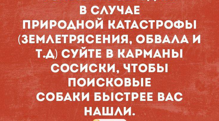 в смчц природной КАТАСТРОФЫ ЗЕМАЕТРЯСЕНИЯ ОБВААА и ТА суйтв в нАрмАны сосиски чтовы поисковые СОБАКИ БЫСТРЕЕ ВАс НАШАИ