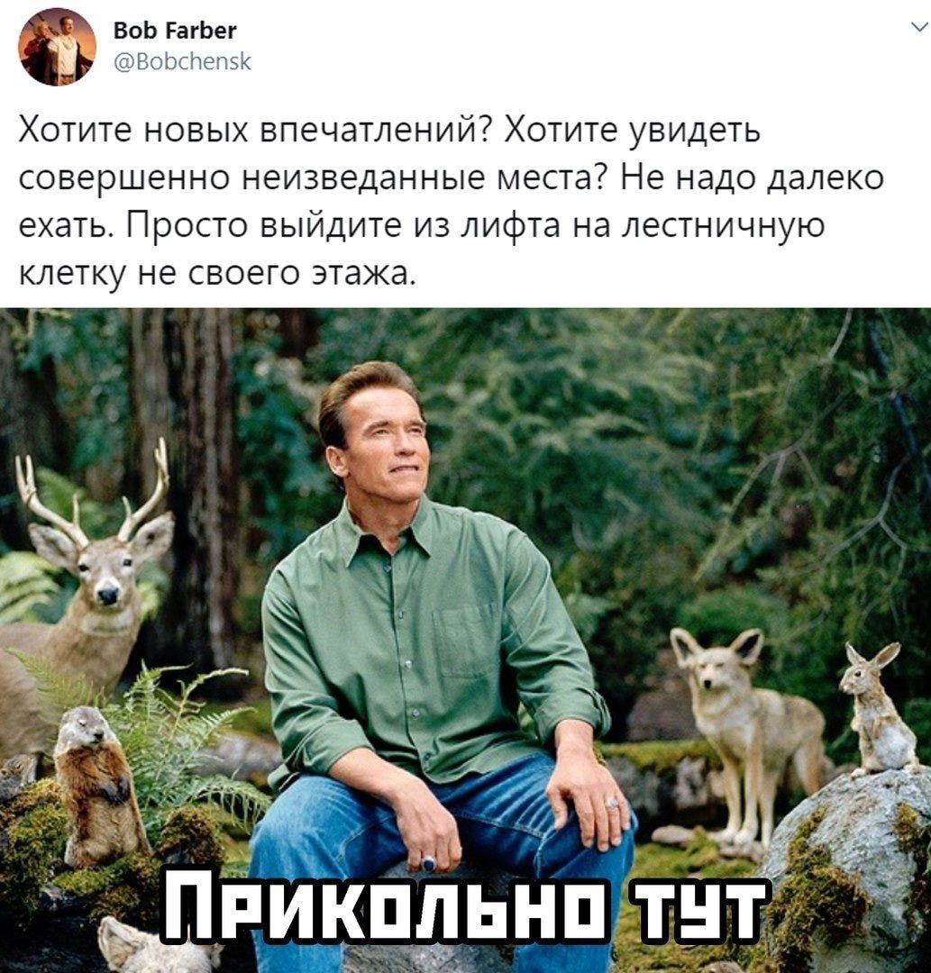 есь на етите новь впенетттении7 Хотите увидеть совершенно неиэведанные места Не надо далеко ехать Просто вьтидите из лифта на лестничную клетку не своего этажа __ Ндтнт фт Шан