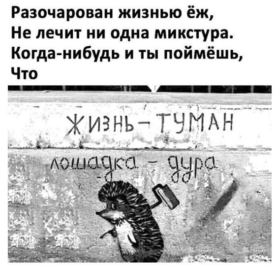 Разочароваи жизнью ёж Не лечит ни одна микстура Когда нибудь и ты поймёшь Чю Жизнь ТЧМАН мёдоща ка_ _