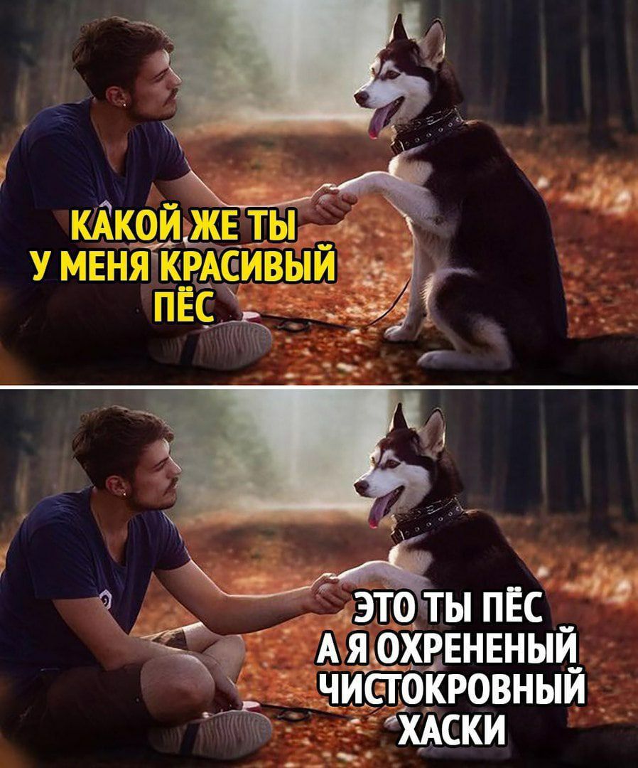 біввнвный Ёбкговныи