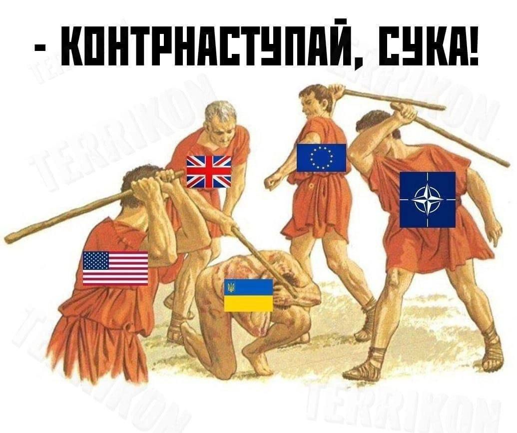 ШНТРНПЕТППЙ ШИН
